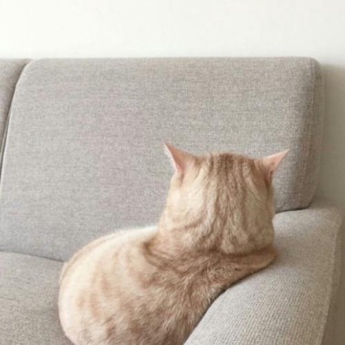 สมาชิกหมายเลข 5570018