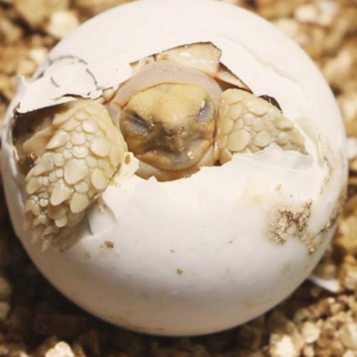 สมาชิกหมายเลข 5831200