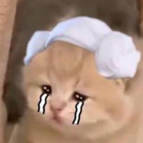 สมาชิกหมายเลข 6753568