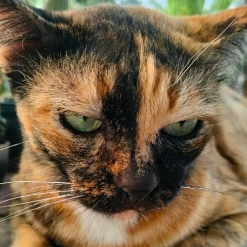 สมาชิกหมายเลข 7515092