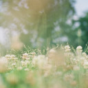 สมาชิกหมายเลข 4443394