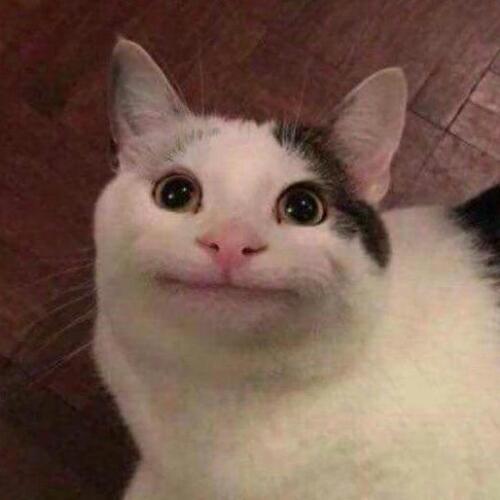 สมาชิกหมายเลข 3956348