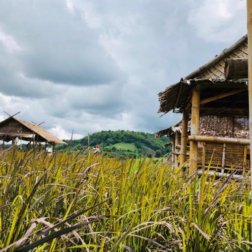 สมาชิกหมายเลข 4321853