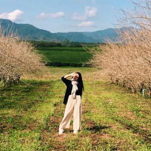 สมาชิกหมายเลข 5922523