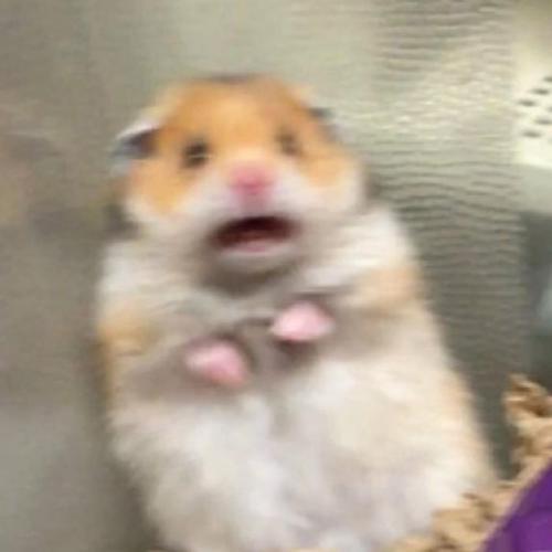 สมาชิกหมายเลข 6127554