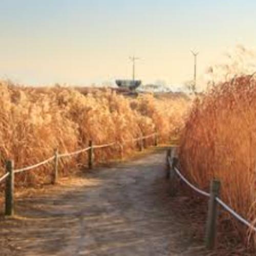 สมาชิกหมายเลข 6129351