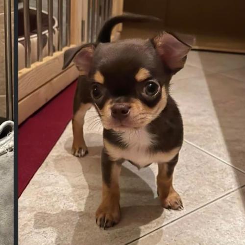 สมาชิกหมายเลข 3730655