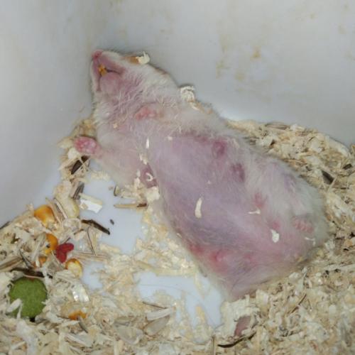 สมาชิกหมายเลข 5675229