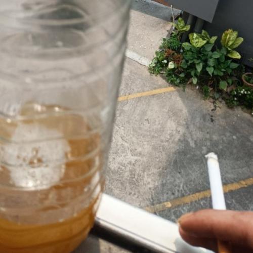 สมาชิกหมายเลข 7517548