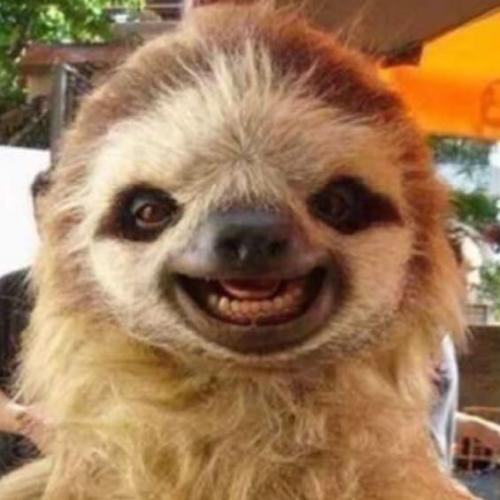 สมาชิกหมายเลข 3182883