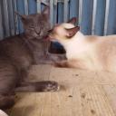 สมาชิกหมายเลข 3971484