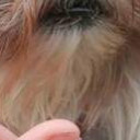 สมาชิกหมายเลข 4446179