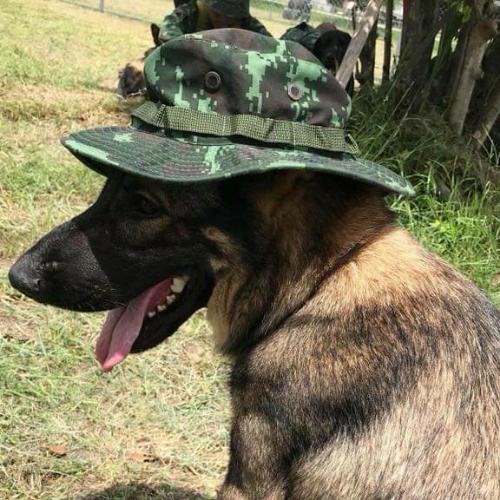 สมาชิกหมายเลข 1375452