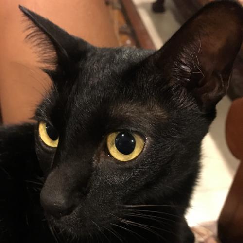 สมาชิกหมายเลข 4478457