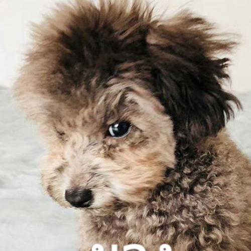 สมาชิกหมายเลข 4674370