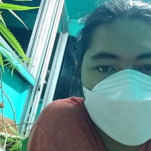 สมาชิกหมายเลข 4644771