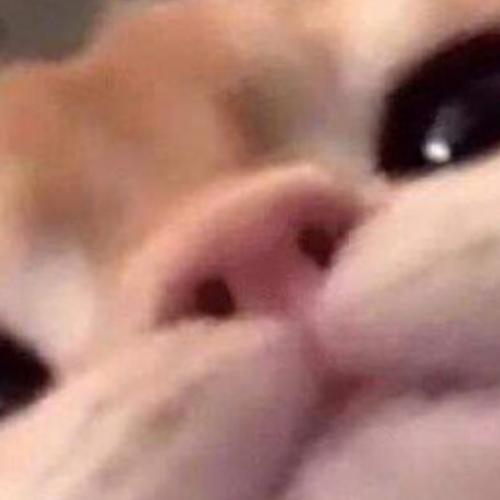 สมาชิกหมายเลข 5196786