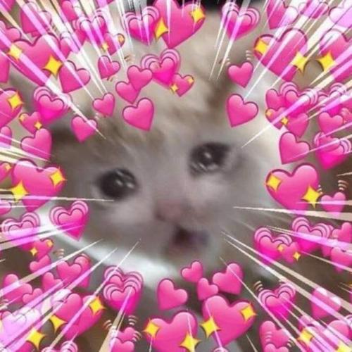 สมาชิกหมายเลข 6755009