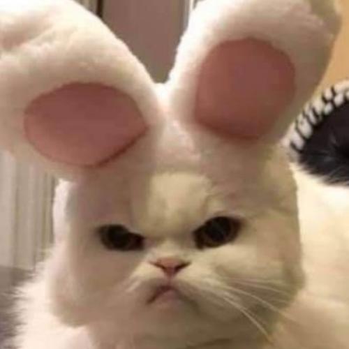 สมาชิกหมายเลข 6755067