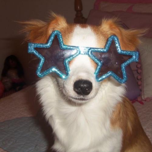 สมาชิกหมายเลข 4474129