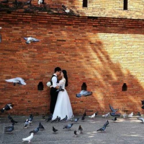 สมาชิกหมายเลข 6632598