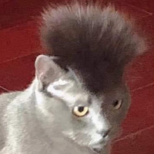 สมาชิกหมายเลข 7521352