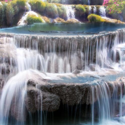 สมาชิกหมายเลข 7522726