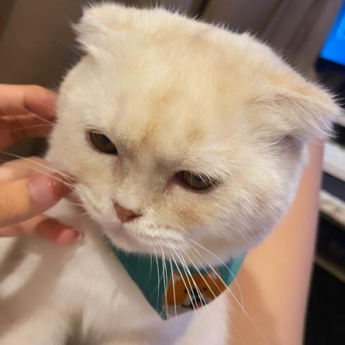 สมาชิกหมายเลข 7523342