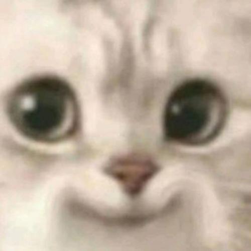 สมาชิกหมายเลข 7022370