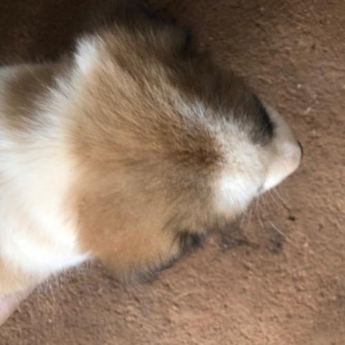 สมาชิกหมายเลข 8432865