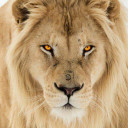 กำลังลดน้ำหนัก