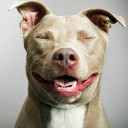 สมาชิกหมายเลข 4446669