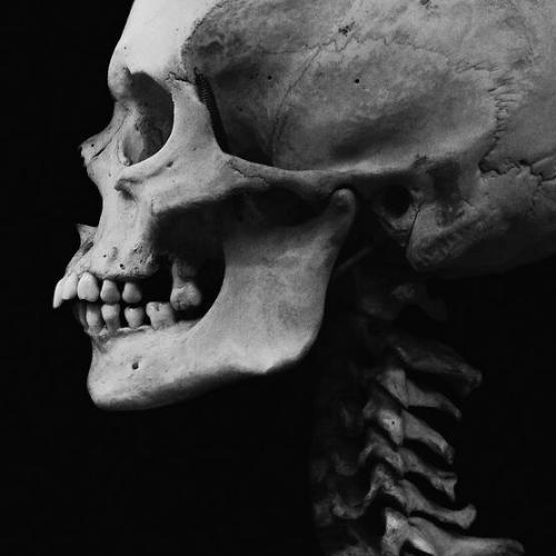 สมาชิกหมายเลข 4788776