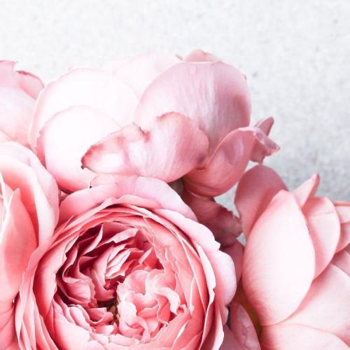 สมาชิกหมายเลข 3165231