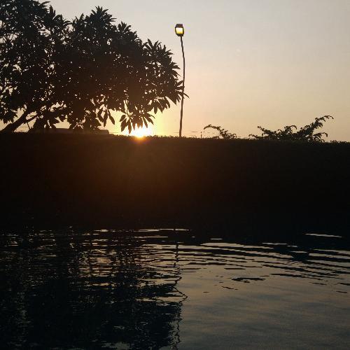 สมาชิกหมายเลข 5166736