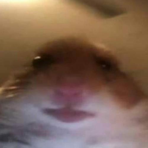 สมาชิกหมายเลข 5166740