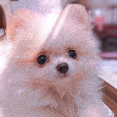 สมาชิกหมายเลข 5563054