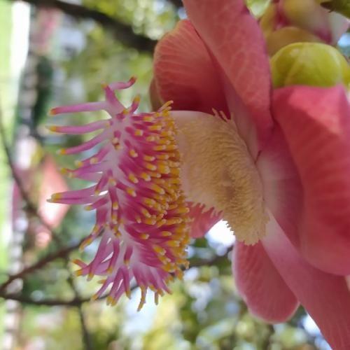 สมาชิกหมายเลข 6130395