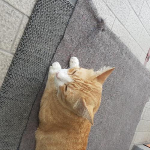 สมาชิกหมายเลข 6130845