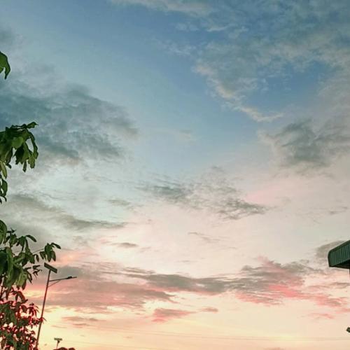 สมาชิกหมายเลข 3673606