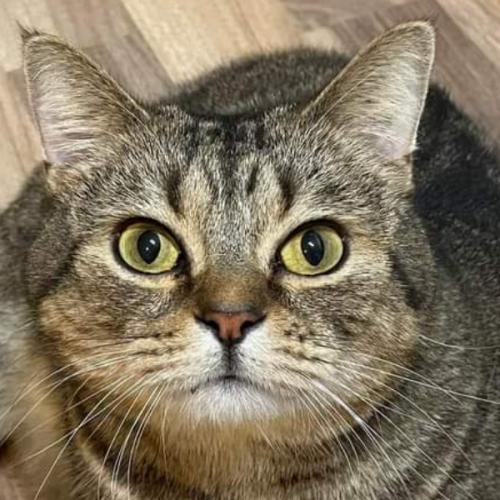 สมาชิกหมายเลข 3762599