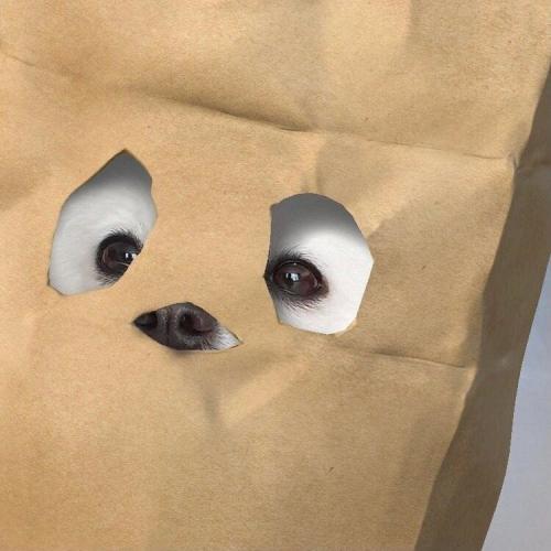 สมาชิกหมายเลข 6754578