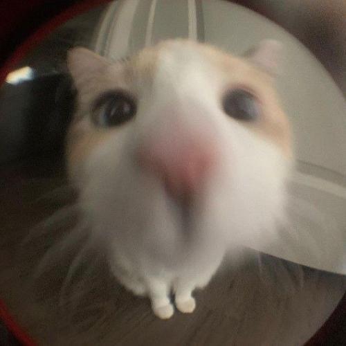 สมาชิกหมายเลข 7523811