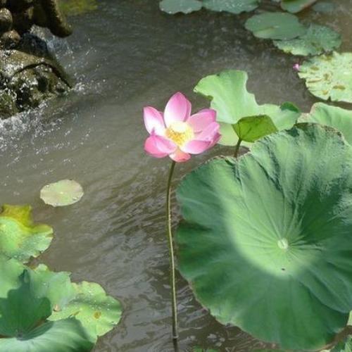 สมาชิกหมายเลข 8300879