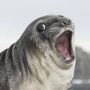 สมาชิกหมายเลข 3972170