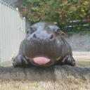 สมาชิกหมายเลข 3972326