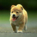 สมาชิกหมายเลข 3390660