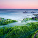 สมาชิกหมายเลข 4558803