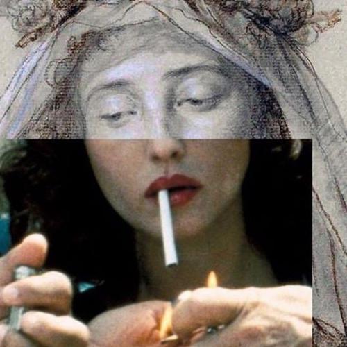 สมาชิกหมายเลข 5585901