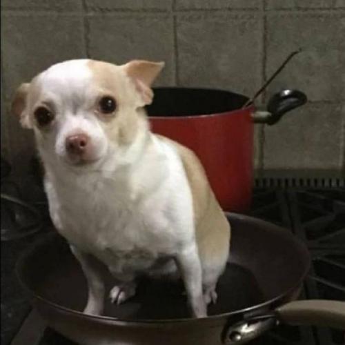 สมาชิกหมายเลข 6130912